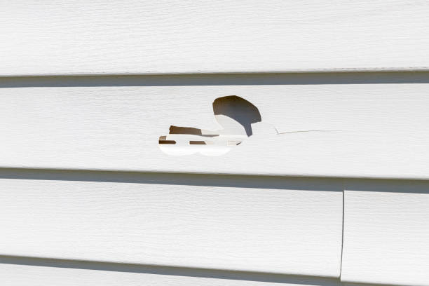 Best Engineered Wood Siding  in Atco, NJ