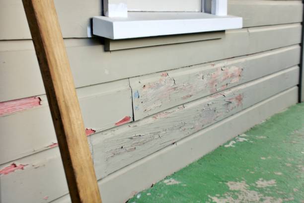 Best Stone Veneer Siding  in Atco, NJ
